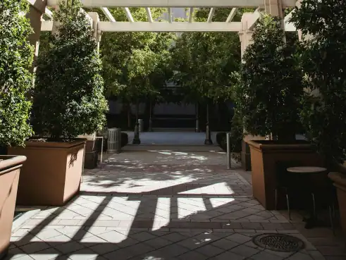 A Courtyard at the Heart